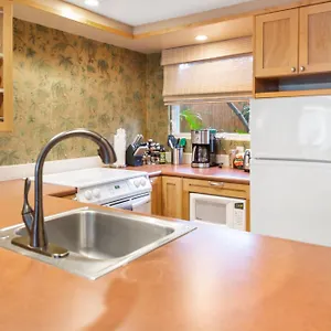 Lotus Suite, 1 Bedroom, Sleeps 4, Pool & Bbq, Pre-Renovation Summer Sale Apartment Kihei